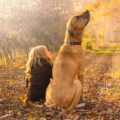 prospekt november kachel navi mars 412x412